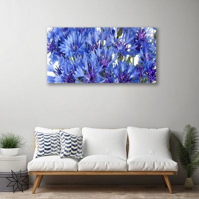 Quadro canvas Flores Planta Natureza