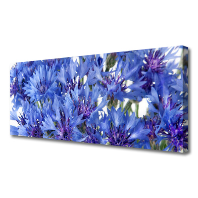 Quadro canvas Flores Planta Natureza