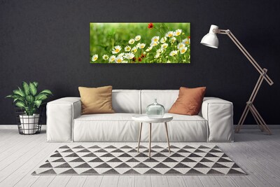 Quadro em tela Natureza da planta margarida