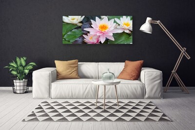 Quadro canvas Flores Planta Natureza