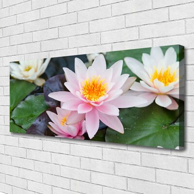 Quadro canvas Flores Planta Natureza