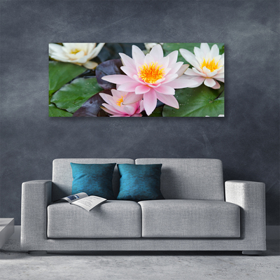 Quadro canvas Flores Planta Natureza