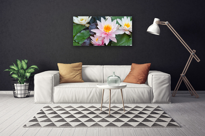 Quadro canvas Flores Planta Natureza