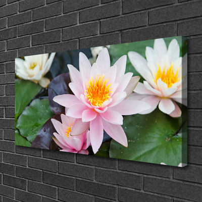 Quadro canvas Flores Planta Natureza