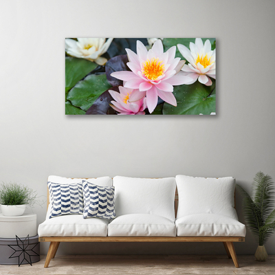 Quadro canvas Flores Planta Natureza