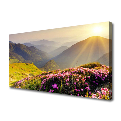 Quadro canvas Paisagem de prados de montanha