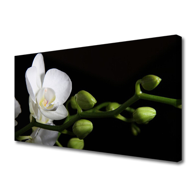 Quadro em tela Flor Planta Natureza