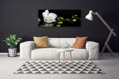 Quadro em tela Flor Planta Natureza