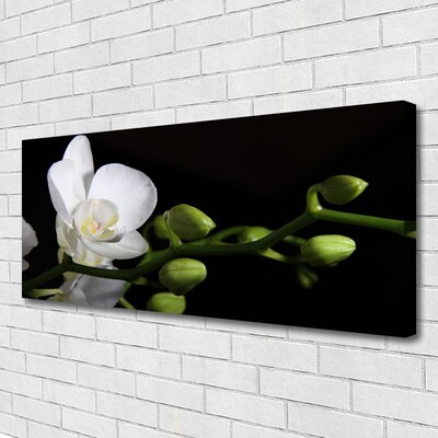 Quadro em tela Flor Planta Natureza