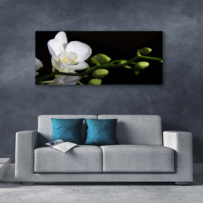 Quadro em tela Flor Planta Natureza