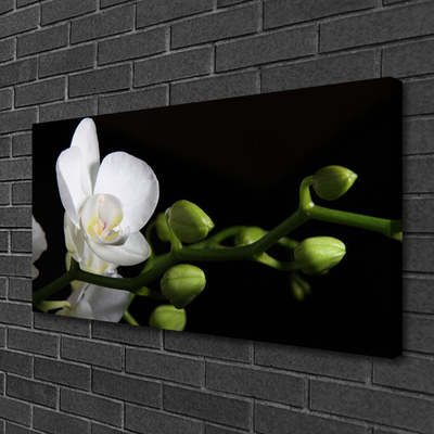 Quadro em tela Flor Planta Natureza