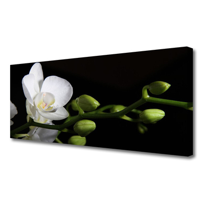 Quadro em tela Flor Planta Natureza