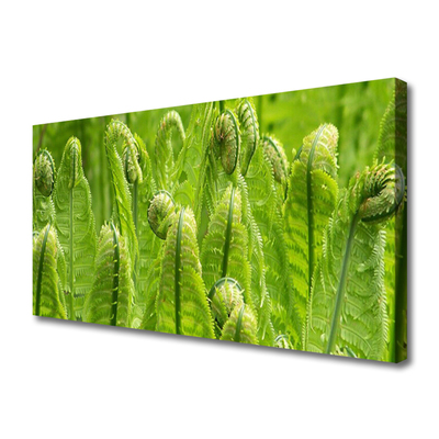 Quadro canvas Natureza Vegetal