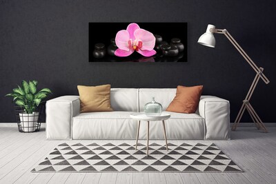 Quadro em tela Planta de pedras de flores