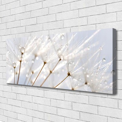 Quadro canvas Planta dente-de-leão