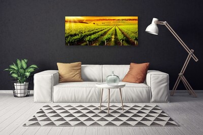 Quadro em tela Natureza do Campo