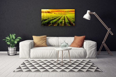 Quadro em tela Natureza do Campo