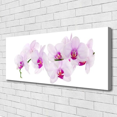 Quadro em tela Flores Planta Natureza