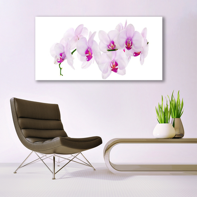 Quadro em tela Flores Planta Natureza