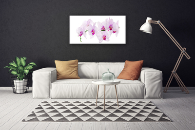 Quadro em tela Flores Planta Natureza