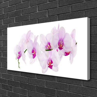 Quadro em tela Flores Planta Natureza