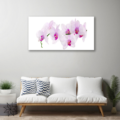 Quadro em tela Flores Planta Natureza
