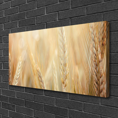 Quadro canvas Natureza da planta de trigo
