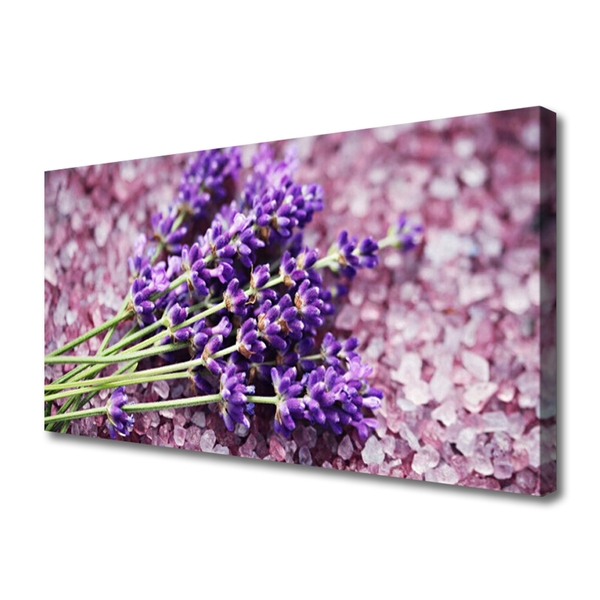 Quadro canvas Flores Planta Natureza