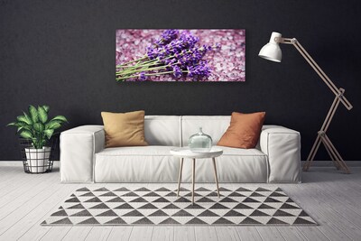 Quadro canvas Flores Planta Natureza