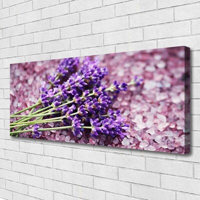 Quadro canvas Flores Planta Natureza