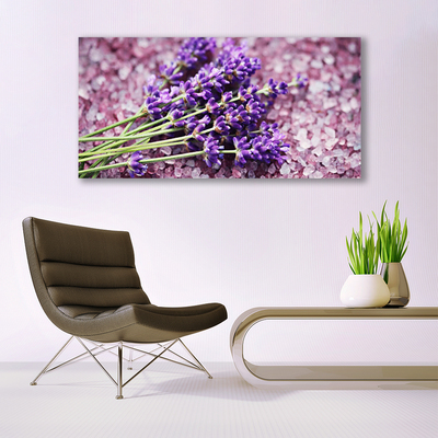 Quadro canvas Flores Planta Natureza