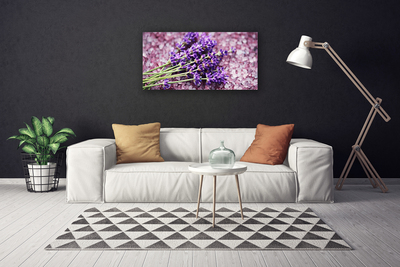 Quadro canvas Flores Planta Natureza