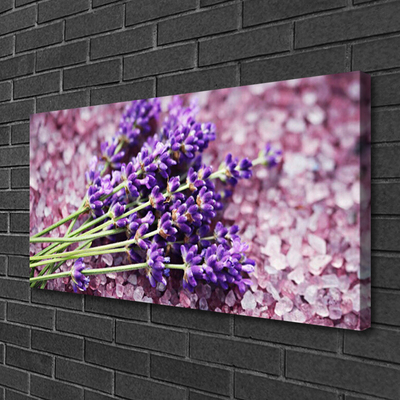 Quadro canvas Flores Planta Natureza