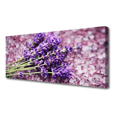Quadro canvas Flores Planta Natureza