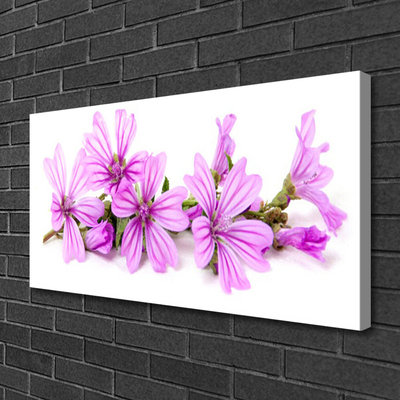 Quadro em tela Flores Planta Natureza
