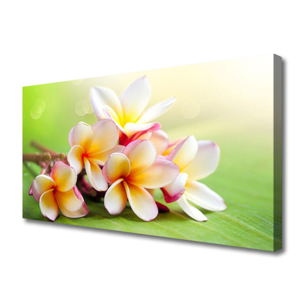 Quadro em tela Flores Planta Natureza