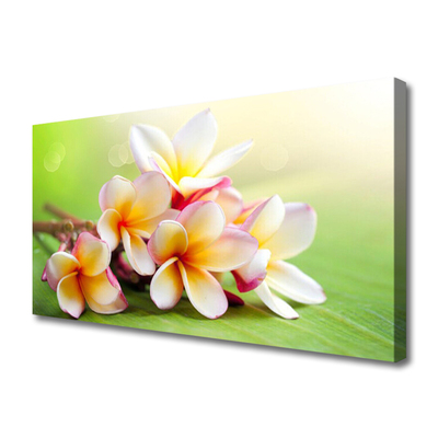 Quadro em tela Flores Planta Natureza
