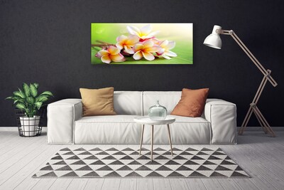 Quadro em tela Flores Planta Natureza