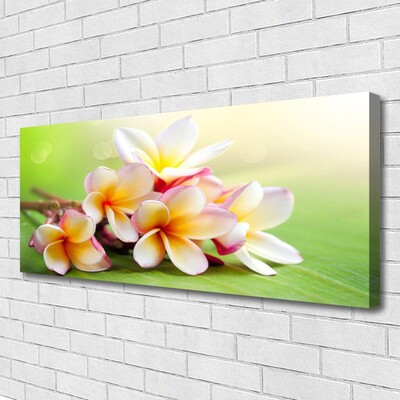 Quadro em tela Flores Planta Natureza