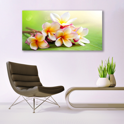 Quadro em tela Flores Planta Natureza