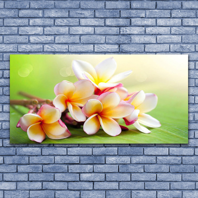 Quadro em tela Flores Planta Natureza
