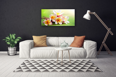 Quadro em tela Flores Planta Natureza
