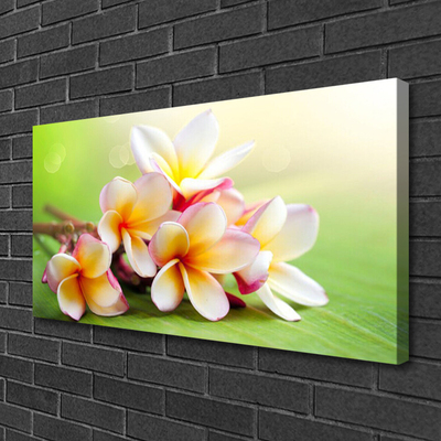Quadro em tela Flores Planta Natureza