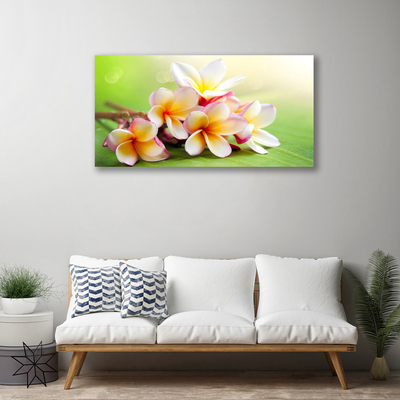 Quadro em tela Flores Planta Natureza
