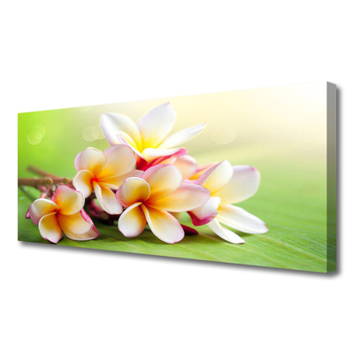 Quadro em tela Flores Planta Natureza