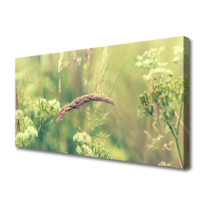 Quadro canvas Plantas Selvagens Natureza