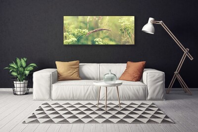 Quadro canvas Plantas Selvagens Natureza