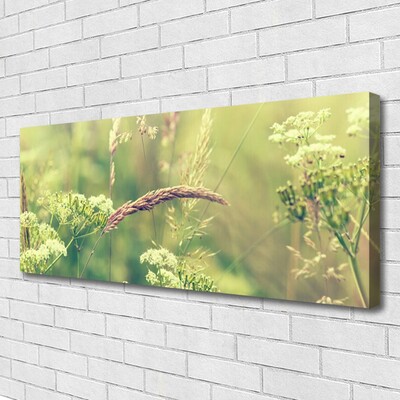 Quadro canvas Plantas Selvagens Natureza
