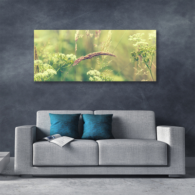 Quadro canvas Plantas Selvagens Natureza
