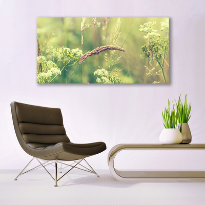 Quadro canvas Plantas Selvagens Natureza